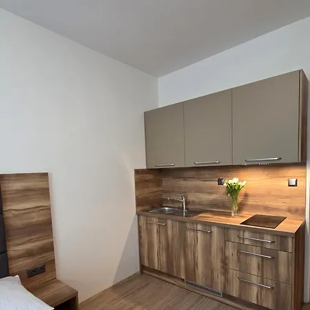 Victoria Apartament Nová Dubnica