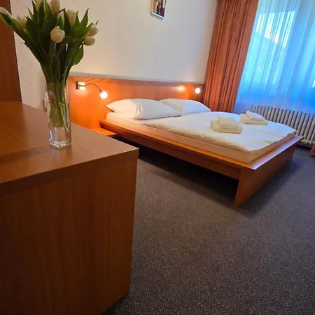Victoria Apartament Nová Dubnica